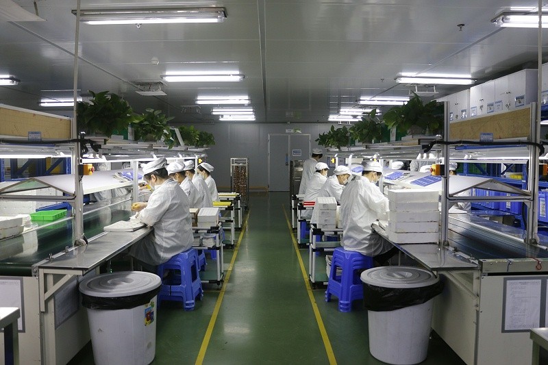 真空麻豆专区1区二区廠