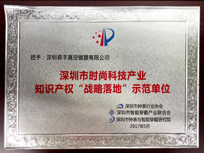 麻豆操逼视频五金真空電鍍廠家榮譽-時尚科技產業知識產權“戰略落地”示範單位